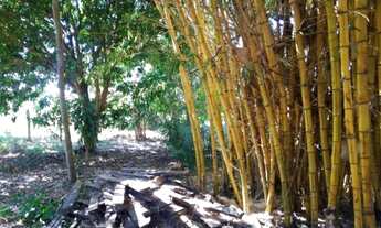 Imagem 6: Chácara no Incra 6, casa 4 Qtos, poço de pesca e árvores frutíferas