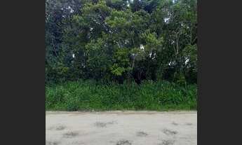 Imagem 5: Ótimo lote com oportunidade para comércios em Itanhaém-SP