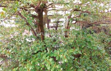 Imagem 4: Apartamento 3 quartos à venda em Botafogo perto do metrô com 98m2