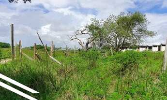 Imagem 6: Propriedade com 6 hectares em área central na cidade de Gravatá