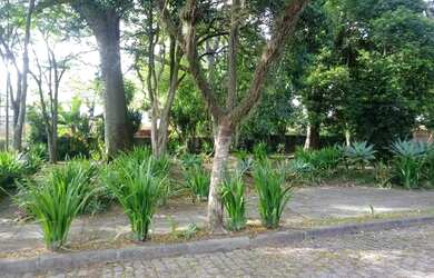 Imagem 3: Porto Alegre - Casa Padrão - Ipanema