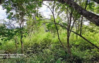 Imagem 2: Chácara à venda em Taquara RS