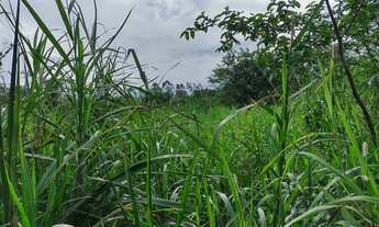 Imagem: Sítio 20 alqueires Plano ( Willian Ricardo