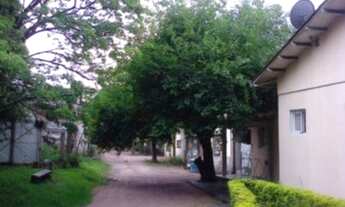 Imagem 2: Porto Alegre - Terreno Padrão - Tristeza