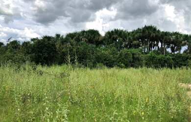 Imagem 2: Excelente Fazenda - Itapirapuã