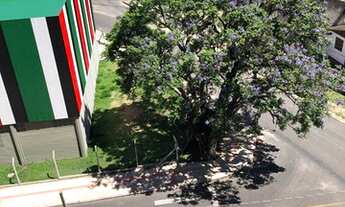 Imagem 5: Sol Matinal 3 Dorm sendo 1 Suite