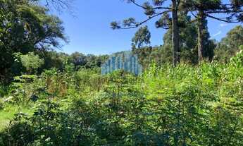 Imagem 5: Lote/Terreno para venda com 52300 metros quadrados em Bocaiuva Do Sul - Bocaiúva do Sul