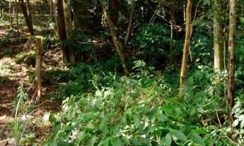 Imagem 6: Chácara com preço acessível, para quem procura área arborizada aqui temos !