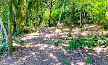 Imagem 2: Terreno para venda em Santa Dalila (Suruí) - Magé - RJ