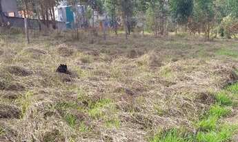 Imagem 6: TERRENO RESIDENCIAL em Jarinu - SP, Vila Nova Trieste