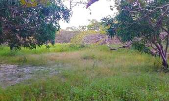 Imagem 4: Terreno/Sítio para venda/ troca/ permuta possui 20000 metros no iguape - Aquiraz - CE