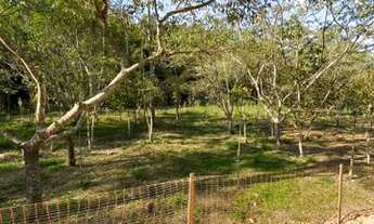 Imagem 7: Melhor custo benefício da região! Bosque Urbanova!