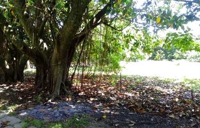 Imagem 4: Porto Alegre - Casa Padrão - Ponta Grossa