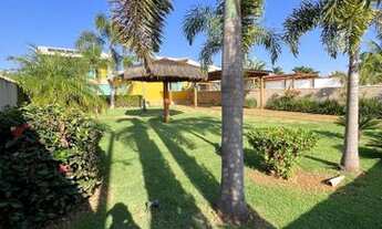 Imagem: Oásis do Paranapanema