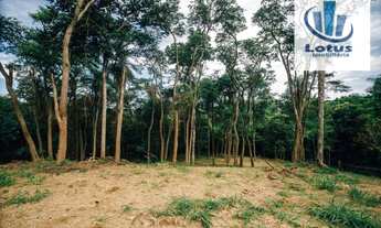 Imagem 4: Terreno residencial à venda, Fazenda Duas Marias, Jaguariúna - TE0501