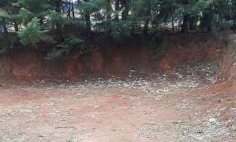 Imagem 2: Chácara em Munhoz