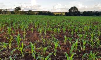 Imagem 2: FAZENDA EM INHUMAS COM REPRESA E DUAS CONTRUÇÕES