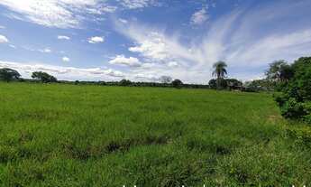 Imagem 3: Fazenda à venda, tripla aptidão, 500 hectares, na margem da BR-364, 20km até Cuiabá/MT