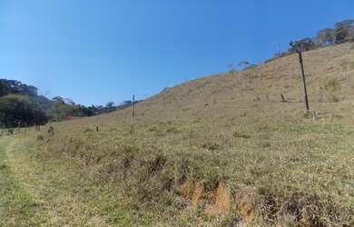 Imagem 2: SÍTIO EM IPIABAS - 4 ALQUEIRES MINEIROS FORMADO EM PASTO