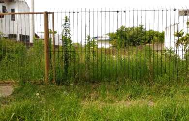 Imagem 3: Porto Alegre - Terreno Padrão - Urubatã