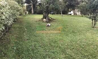 Imagem 4: SANTO AMARO DA IMPERATRIZ - Sítio - Braço São João