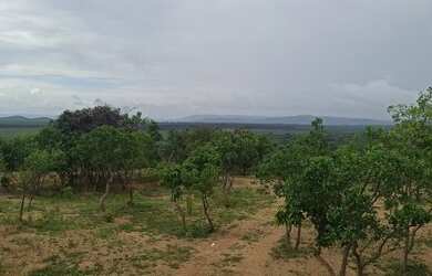 Imagem 4: Lindas fazendinhas em Cordisburgo só R$ 11.900,00 de sinal (PQ78).