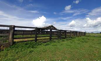 Imagem 7: Fazenda à venda, tripla aptidão, 500 hectares, na margem da BR-364, 20km até Cuiabá/MT