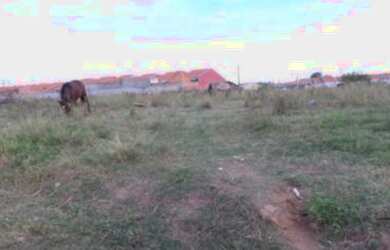 Imagem 5: Porto Alegre - Terreno Padrão - Aberta Dos Morros