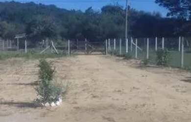 Imagem 7: Sítio 1100m2 c/galpão rústico próximo a RS040