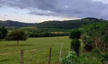 Imagem: Sitio com 4 Alqueires com Café