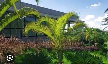 Imagem 4: Terreno condomínio Green park- ARACATUBA -Sp