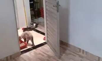 Imagem 6: Alugo quarto para menina -