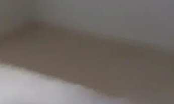 Imagem 6: Casa aluguel Casa com 2 dormitórios