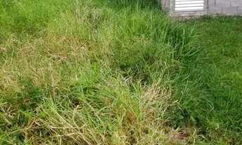 Imagem 4: Vendesse terreno na fazendinha na rua 7