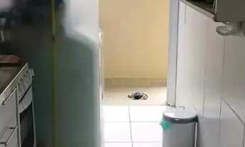 Imagem 7: RECREIO APTO 2 QTS SUITE REFORMADO LAZER COMPLETO