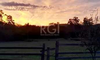 Imagem 2: Sítio para Venda - 40685m², 0 dormitórios, Lami