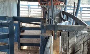 Imagem 4: Fazenda 145 alqueires em Amambai - MS