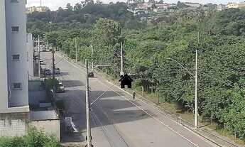 Imagem 3: Lindo apartamento 3 quartos/ suite