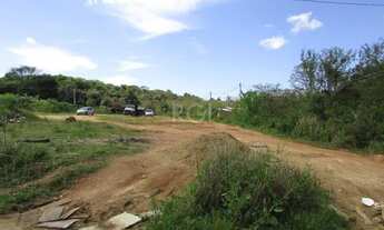 Imagem 6: Terreno para Venda - 0m², 0 dormitórios, Belém Velho