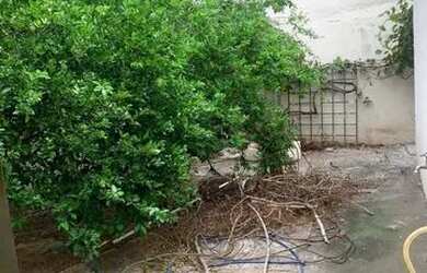 Imagem 3: Casa com 3 dormitórios à venda, 145 m² por R$ 250.000 - Solo Sagrado - São José do Rio Pre