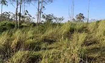 Imagem 3: Terreno com alta valoriação em Taiaçupeba