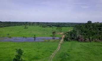 Imagem: Pastagem para alugar