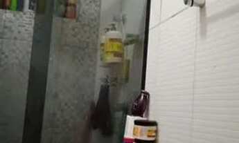 Imagem 2: Um lindo apartamento!