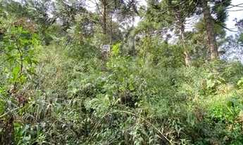 Imagem 5: VENDO terreno em Anitápolis, ótima oportunidade!