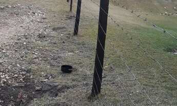 Imagem 2: Alugo chácara para moradia Bairro Piraporão