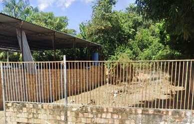 Imagem 4: Galpão prox. Av. Torres 317m2 com Terreno 24X25(600m2