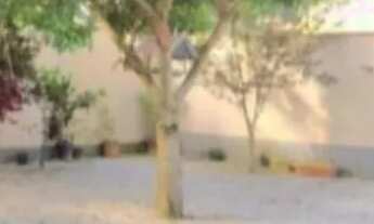 Imagem 3: LINDA CASA COM EDÍCULA - terreno 360m²