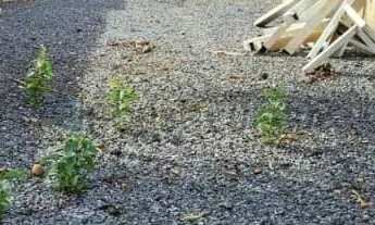 Imagem 2: Vende Terreno de 1765m para comercial ou Incorporação