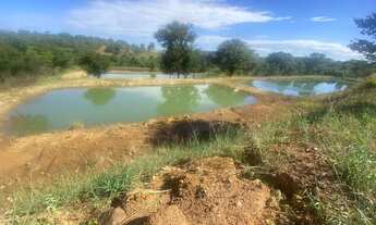 Imagem 6: Ótima chácara em Taquaral go