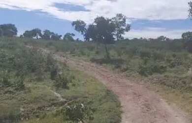 Imagem 4: Fazenda 15 alqueires município de araguapaz